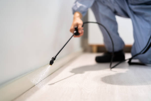 Bed Bug Pre-Treatment Preparation Assessment in Cedar Springs