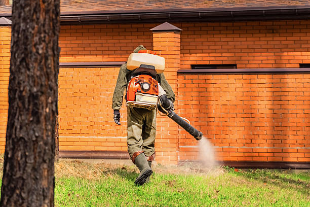 Bed Bug Clearance Verification and Documentation in Cedar Springs